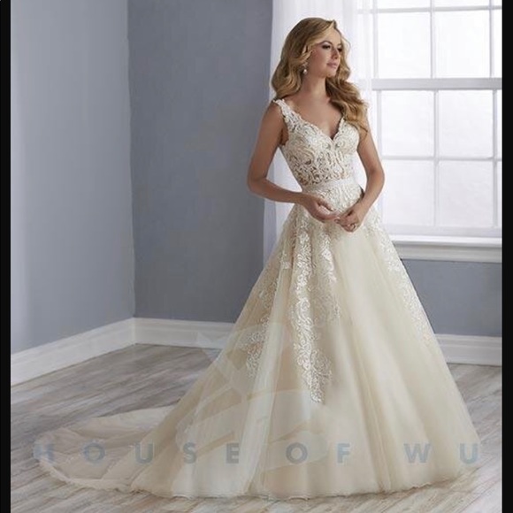 Private Collection Dresses & Skirts - House of Wu Wedding dress.  Ivory/Nude size 12 fits like an 8.